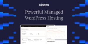 Why I Switched to Kinsta Hosting: A Game-Changer for My Business